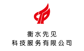 衡水先见科技服务有限公司
